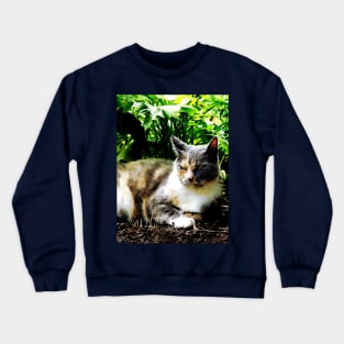 Cats - Cat Relaxing in Garden Crewneck Sweatshirt